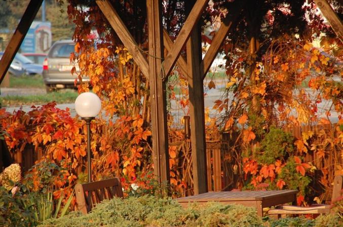 Koral Bed & Breakfast Koszalin Dış mekan fotoğraf